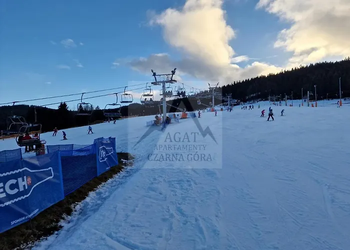 Agat Czarna Gora * シェンナ